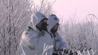 Knieja - polowanie na lisy
