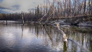 ПОПАЛИ НА ЖОР В ЛЮТОМ КОРЯЖНИКЕ! Так вот где вся рыбалка оказывается!!