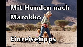 Mit Hunden nach Marokko | Ein- und Ausreisebestimmungen | #marokko