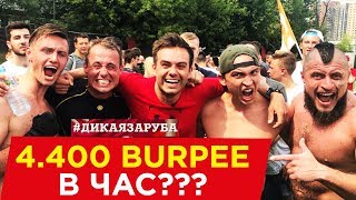 Сколько Берпи в час?  Спорт.  это Дикая  Заруба 2! Самира Мустафаева. Осипов или Хартманн?