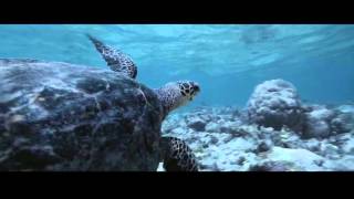 Soneva Resorts : Maldives & Thailand