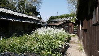 海界の村を歩く　瀬戸内海　牛島（香川県）