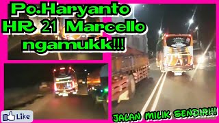 Goyangan Po.Haryanto HR 21 marcello // jalan milik sendiri