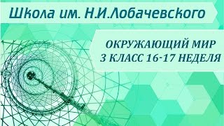 Окружающий мир 3 класс 16-17 неделя Зимние изменения в жизни растений и животных
