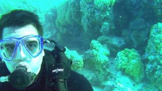 ‪Bora Bora - Great Scuba Diving