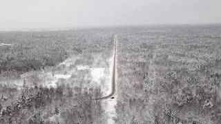 Пролетая над зимним лесом | Winter flies | Dji Mavic Pro