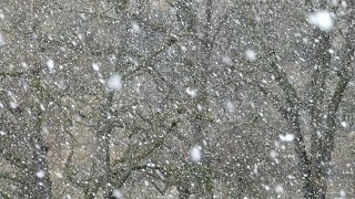 Обзор на снежные хлопья??