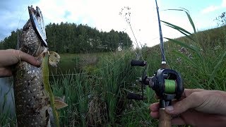 Это однозначно ЩУЧЬЯ погода! Ловля Щуки на воблер летом.