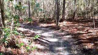The Crosby Arboretum Swamp Forest Exhibit Construction Updates in Picayune, MS