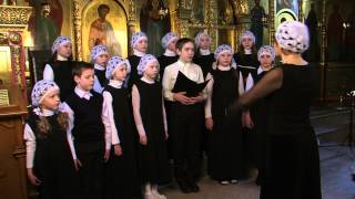 "Тихий свет на Маковце-горе" в исполнении хора "Радовесть"