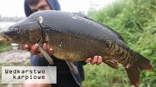 Wędkarstwo karpiowe | Łowienie karpi na wodzie PZW | RELACJA