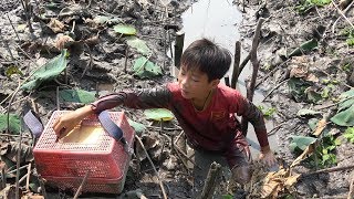 CUỘC SỐNG THƯỜNG NGÀY CỦA BÉ NGHĨA NGÀY CẬN TẾT RA SAO - TT724