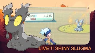(WSHC #2) LIVE!!! Shiny Slugma after 196 REs in Pokemon Sapphire Phase 4 [Full Odds]