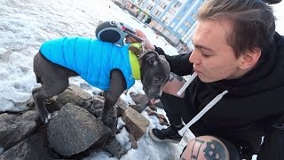VLOG ★ Наш первый раз. Выгуливаю своих сучек