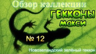НОВОЗЕЛАНДСКИЙ ЗЕЛЕНЫЙ ГЕККОН из коллекции игрушек ГЕККОНЫ МАКСИ