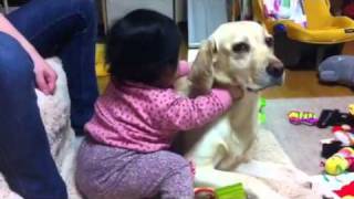 赤ちゃんと犬Ｐart4