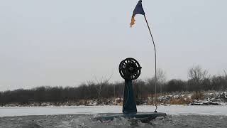 Ловля на жерлицы. Первый лёд 2019-2020.