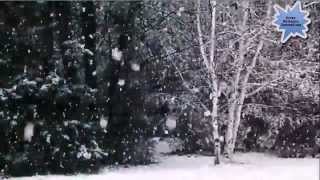 Вугар Мамедов - Зимний сад ♫