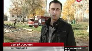 В Краснодарском крае вспышка африканской чумы свиней