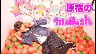 モッシュ新店舗！100万円アイラブストロベリープール