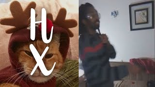 HX FINALLY DROPS VERSE FOR BLACK JIMMY NEUTRON AND EXPLAINS HOW HE WROTE IT [HX Stream Highlights]