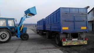 КАМАЗ 53215 + Нефаз 8332 зерновоз погрузка подсолнуха