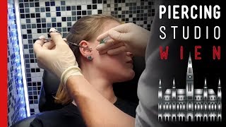 1000 km für ein ?  Tragus Piercing ?  zudem Wildfleisch Tipps ?  Marc's Piercing TV