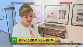 В Калининградской области нашли письмо потомкам, написанное век назад