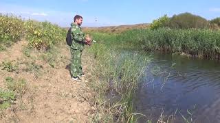 река Донская Царица. Калачевского района, окрестности х.Ярки-Рубежный