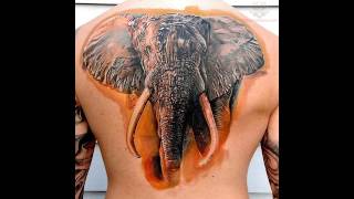 tatu slona