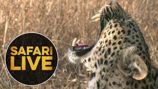 safariLIVE - Sunrise Safari - July 30, 2018