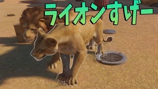 ライオン飼ったけどやっぱすげーわ -Planet Zoo #28【KUN】