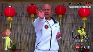 wing chun basics - How to do palm strike, Lesson 5
