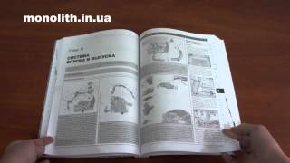 Руководство по ремонту Ford Explorer с 2010 года