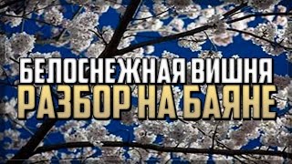 Расцвела под окошком белоснежная вишня разбор на баяне