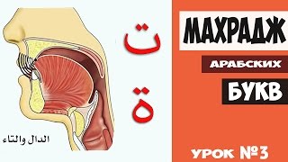 Махрадж Букв Урок №3 буква "ت" плюс практика