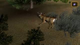 Deer Hunter 2005