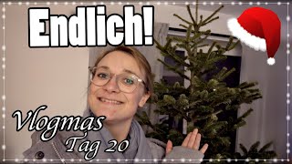 WIR HABEN EINEN WEIHNACHTSBAUM | Vlogmas Tag 20