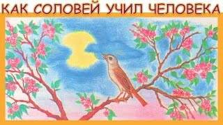 Как соловей учил человека.  Народная сказка.  Аудиосказка.  Слушать онлайн
