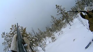 Охота на тетерева на лунках