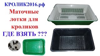 Маточные лотки для промышленных клеток.