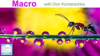 MACRO Photography with Don Komarechka (T&C LIVE)