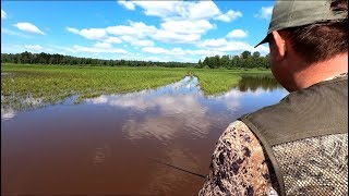 ЛОВЛЯ НА НЕОГРУЖЕННУЮ РЕЗИНУ!!!Рыбалка в траве. Спиннинг 2019. Ловля щуки.