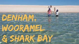 Shark Bay, Denham & Francois Peron: S03 Western Australia E10 Road Trip Lap of Australia