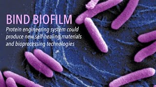 BIND Biofilm