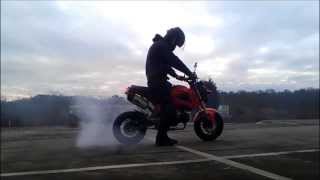 Honda Grom Burnout