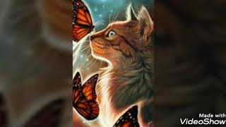 ЛУЧШИЕ АРТЫ КОТОВ ВОИТЕЛЕЙ ЗДЕСЬ[это лично моё мнение]// Коты-Воители//ВиКот(чит.описание)