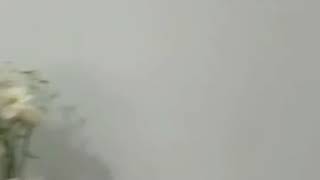 Композиция на пене