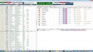 Ipposnif 2.0 How to place a manual bet