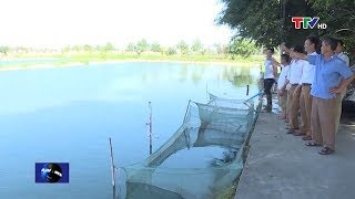 Bản tin thời sự tối 16/1/2020 | Truyền hình Thanh Hóa TTV